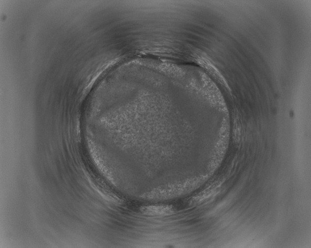 X0000062630251200601181727