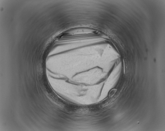 X0000062630252200601181727