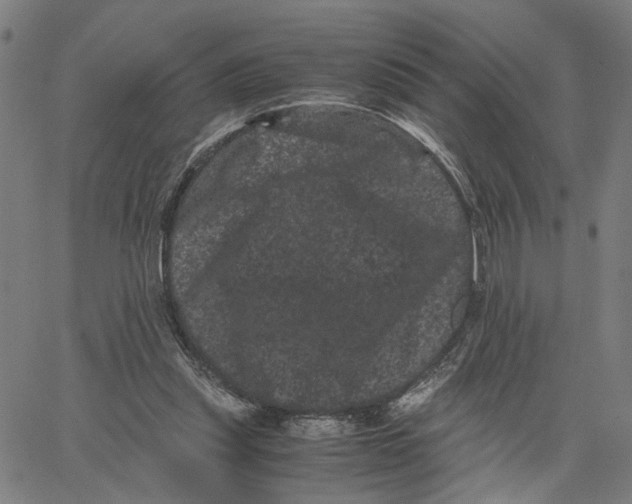 X0000062630253200601181727