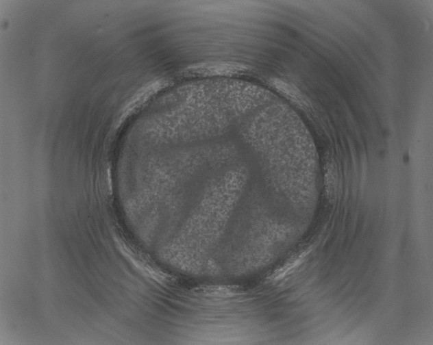 X0000062630254200601181727