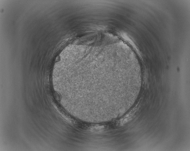 X0000062630257200601181727