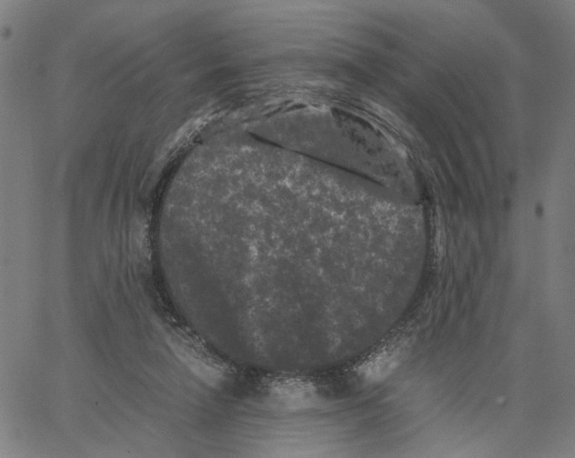 X0000062630258200601181727