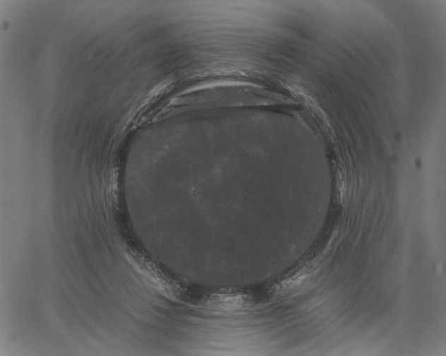 X0000062630260200601181727