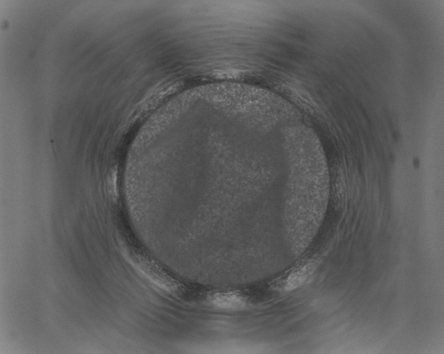 X0000062630262200601181727