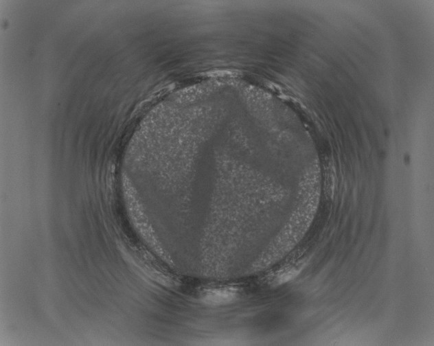 X0000062630263200601181727