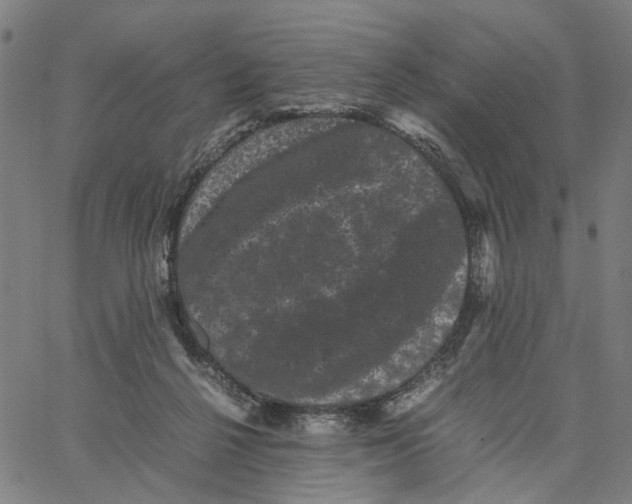 X0000062630264200601181727