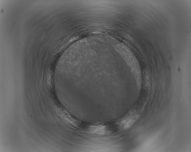 X0000062630266200601181727