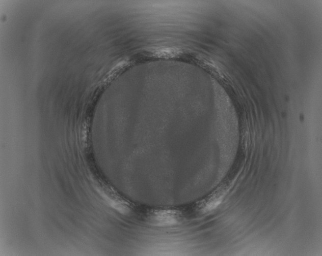 X0000062630268200601181727