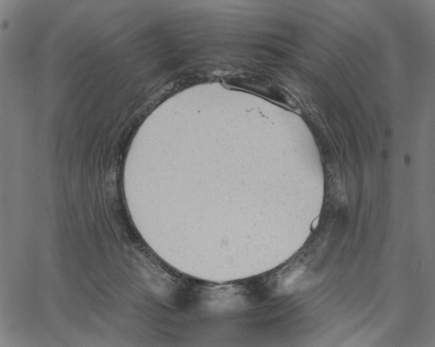 X0000062630269200601181727