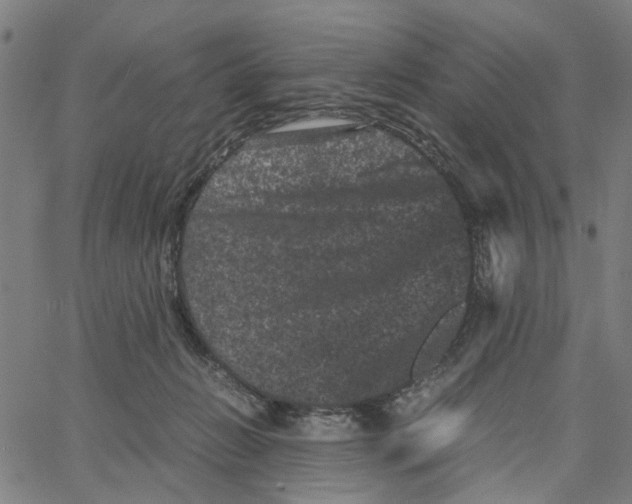 X0000062630270200601181727