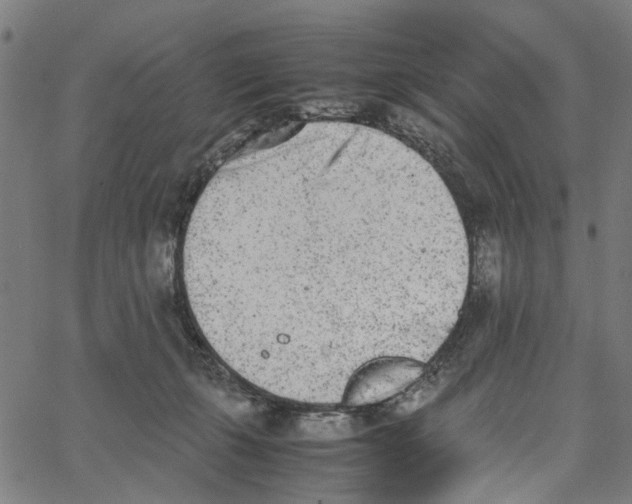 X0000062630271200601181727