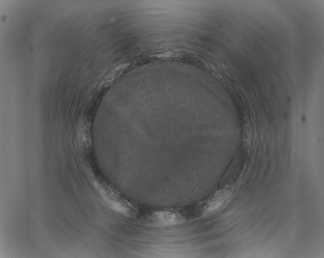 X0000062630272200601181727