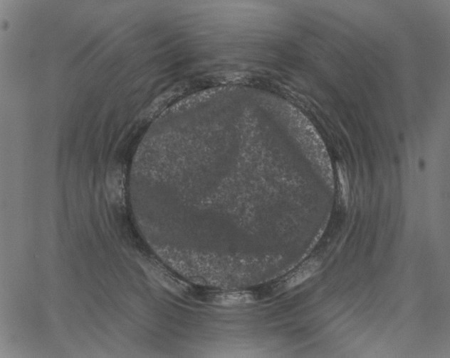 X0000062630274200601181727