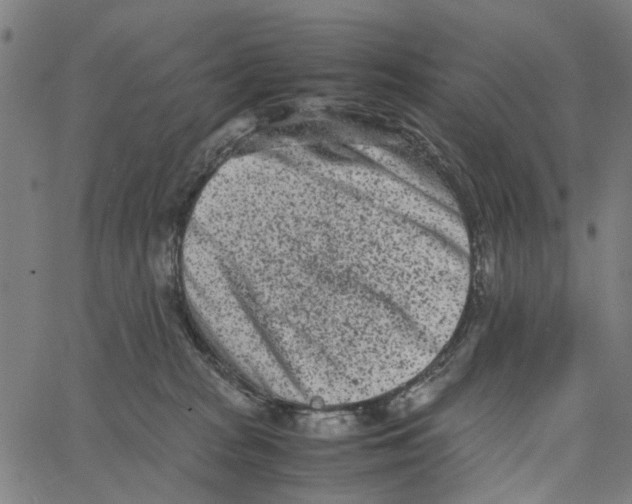 X0000062630277200601181727