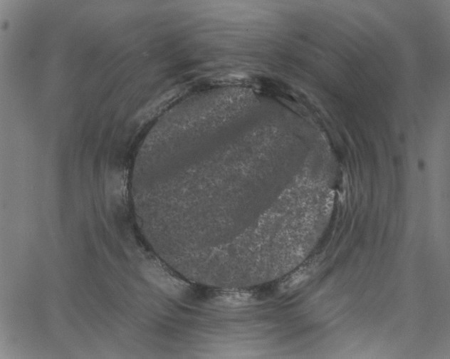 X0000062630278200601181727