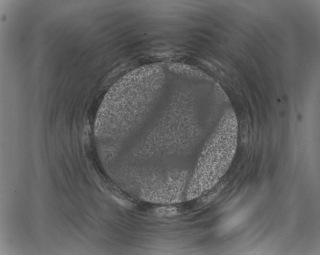 X0000062630279200601181727