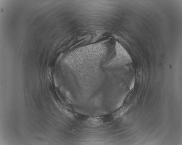 X0000062630280200601181727