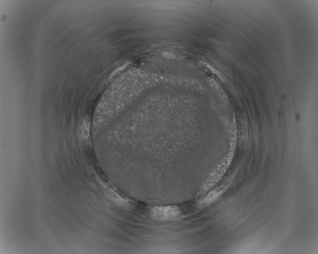 X0000062630281200601181727