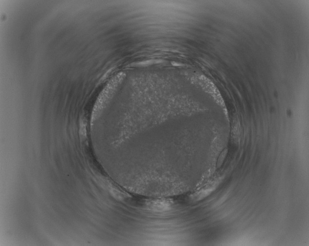 X0000062630282200601181727