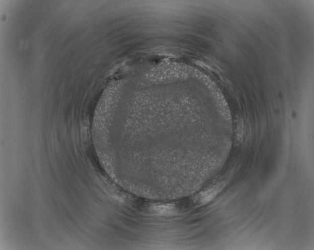 X0000062630283200601181727