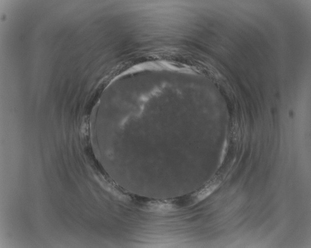 X0000062630284200601181727