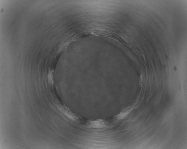 X0000062630286200601181727