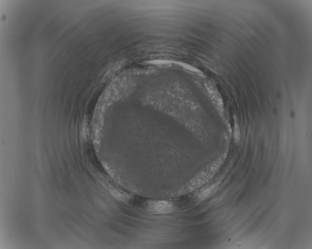 X0000062630287200601181727