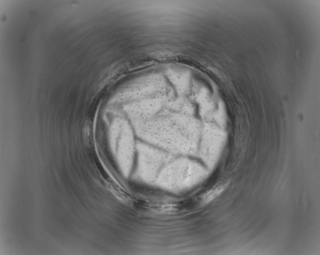 X0000062630288200601181727