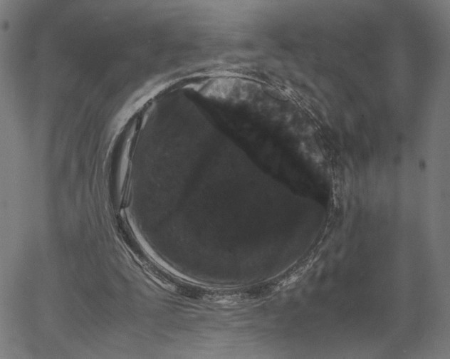 X0000062630295200601181726