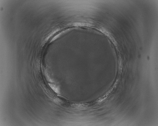 X0000062630297200601181726