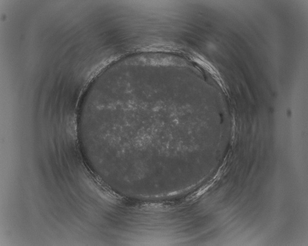 X0000062630298200601181726