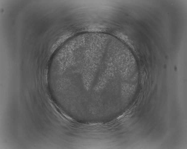 X0000062630299200601181726