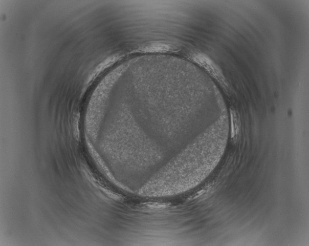 X0000062630300200601181726