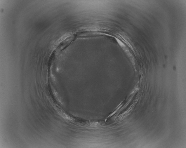 X0000062630301200601181726