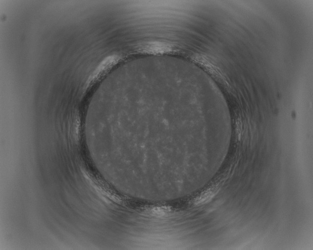 X0000062630304200601181726