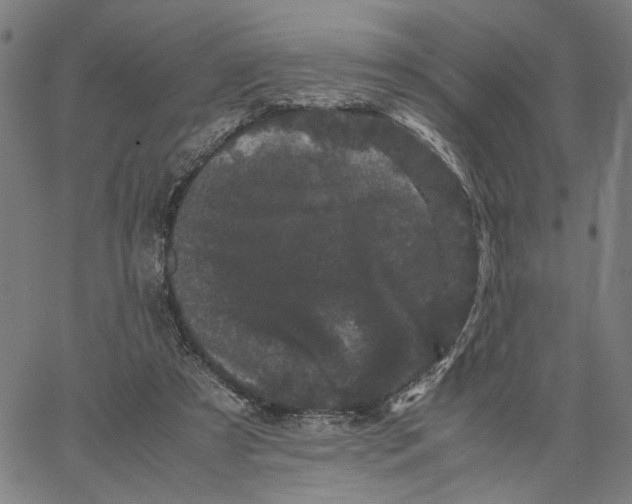 X0000062630305200601181726