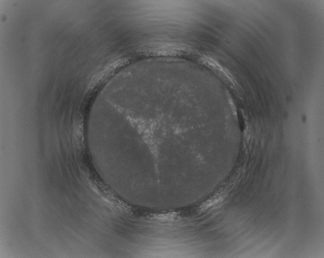 X0000062630306200601181726