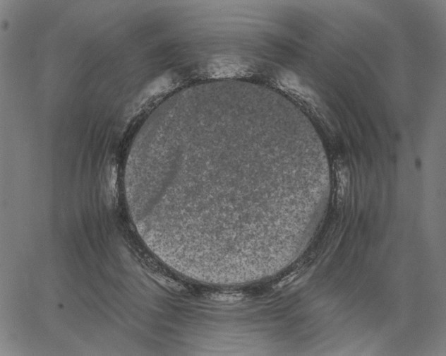 X0000062630308200601181726