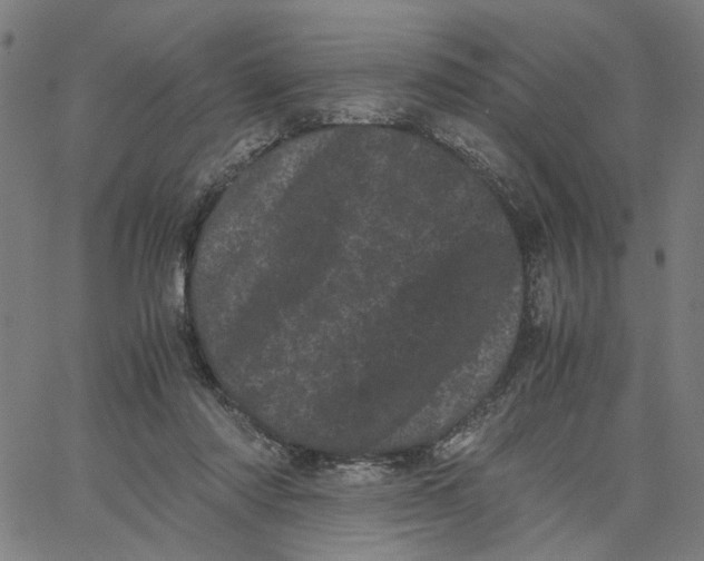 X0000062630310200601181726