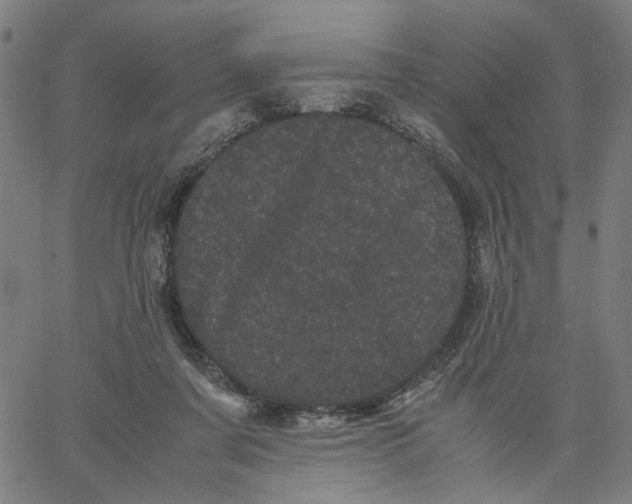 X0000062630311200601181726