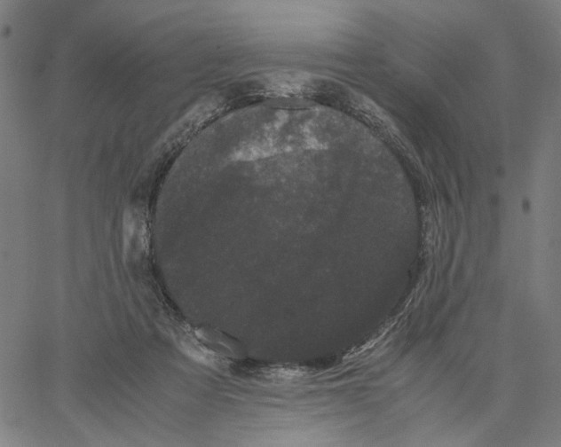 X0000062630313200601181726