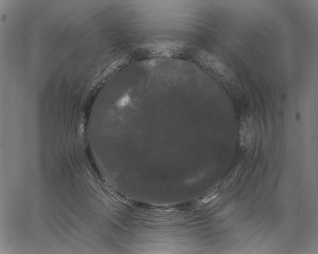 X0000062630314200601181726