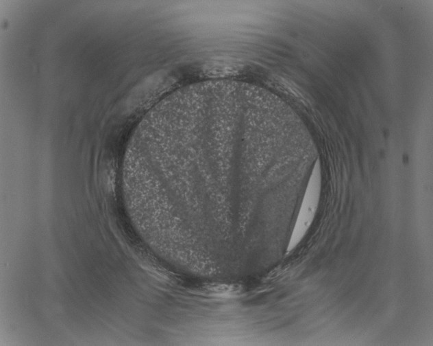 X0000062630315200601181726