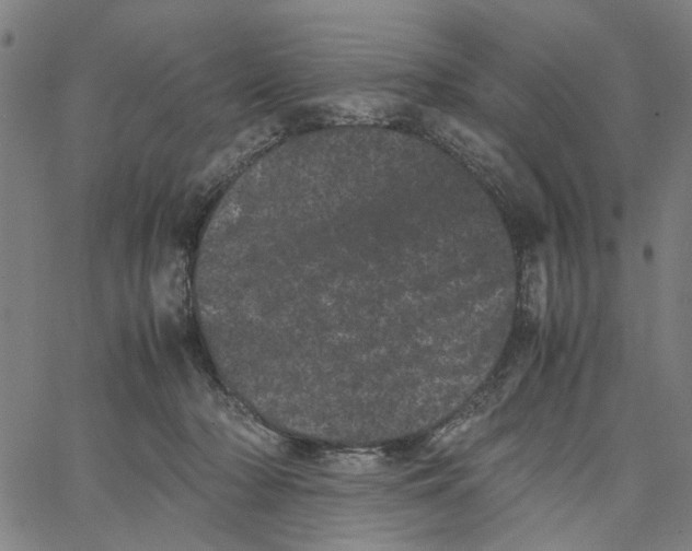 X0000062630318200601181726