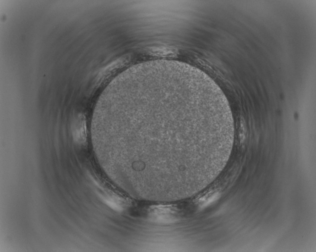 X0000062630320200601181726