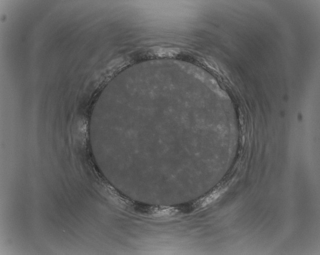 X0000062630321200601181726