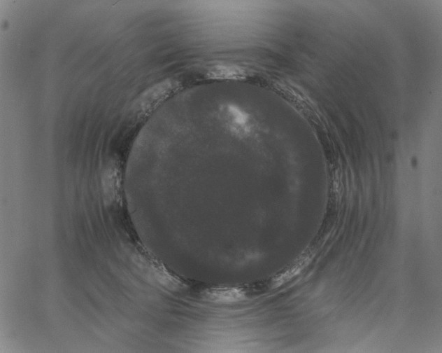 X0000062630322200601181726