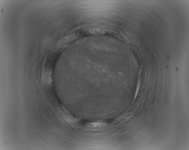 X0000062630323200601181726