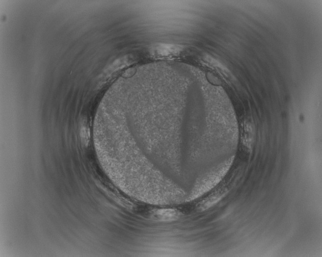 X0000062630324200601181726