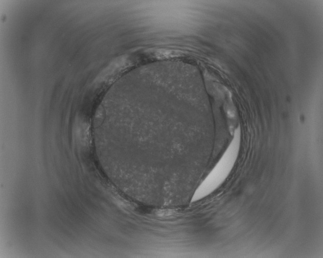 X0000062630327200601181726